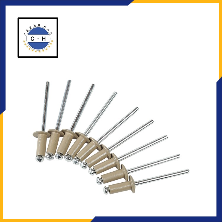 Special-shaped rivets